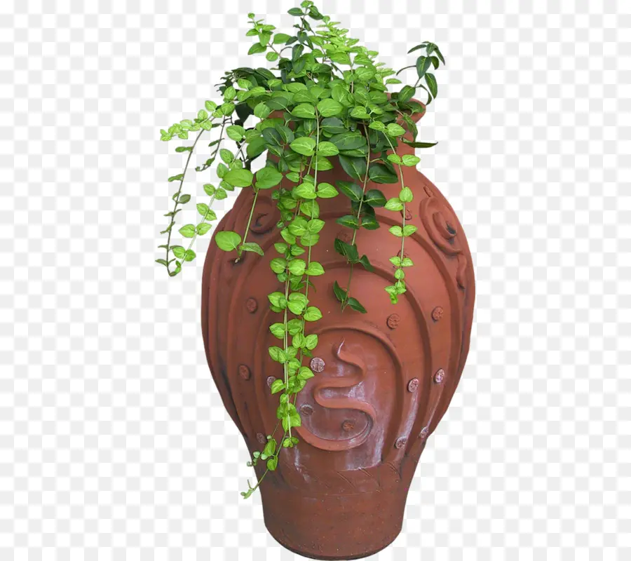 Maceta，Florero PNG