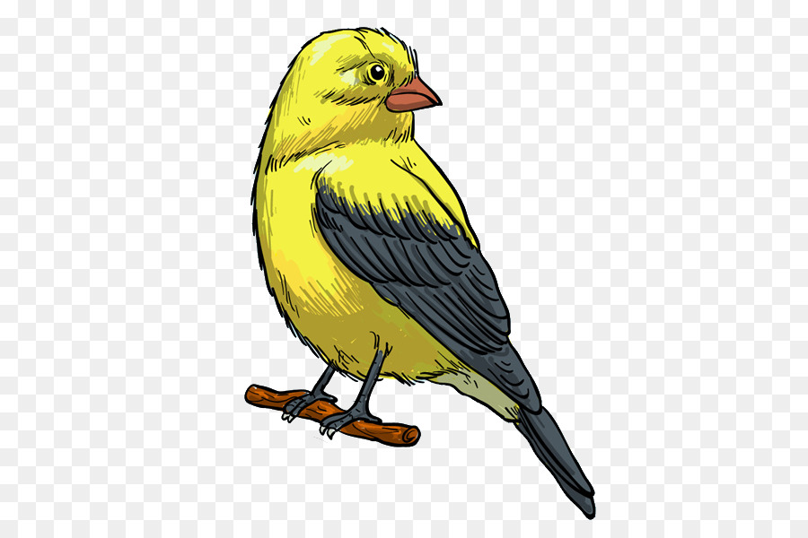 Pájaro，Amarillo PNG