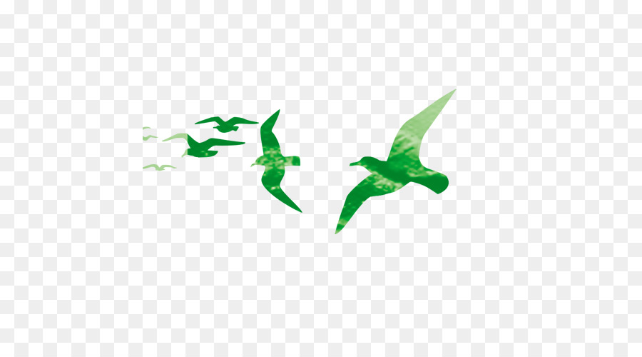 Pájaros Morados，Vuelo PNG