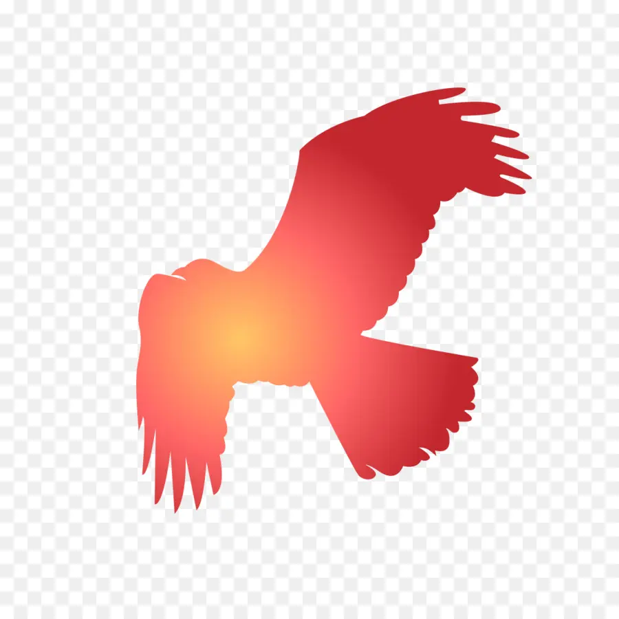 Pájaro Rojo，Vuelo PNG