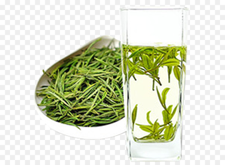 Té，Gyokuro PNG