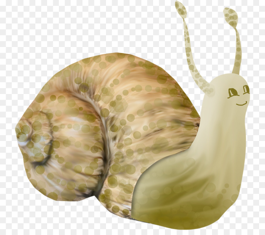 Caracol，Caparazón PNG