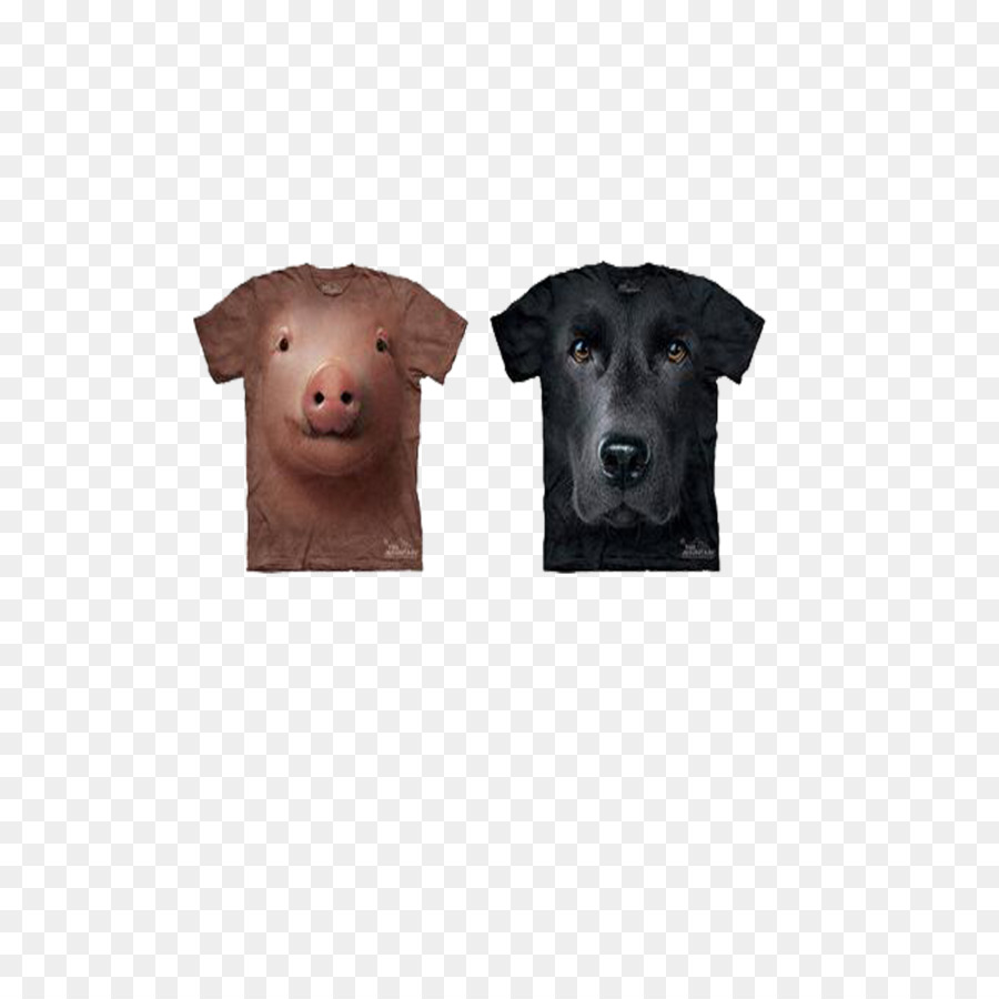 Labrador Retriever，Camiseta PNG