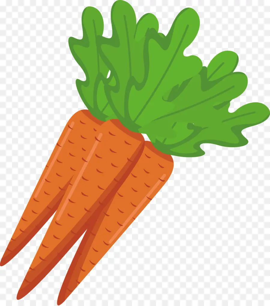 Zanahoria，Cocina Vegetariana PNG
