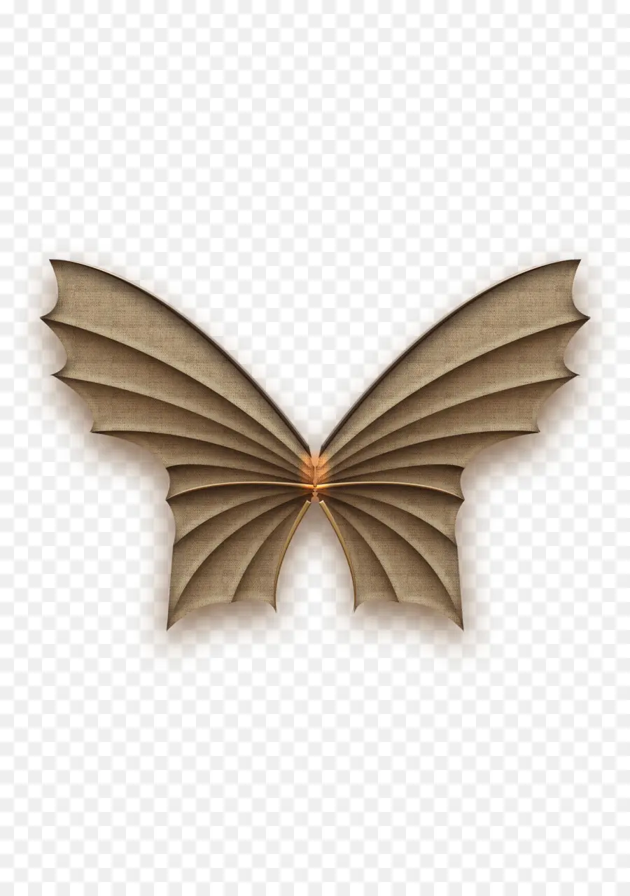 Alas De Mariposa，Insecto PNG