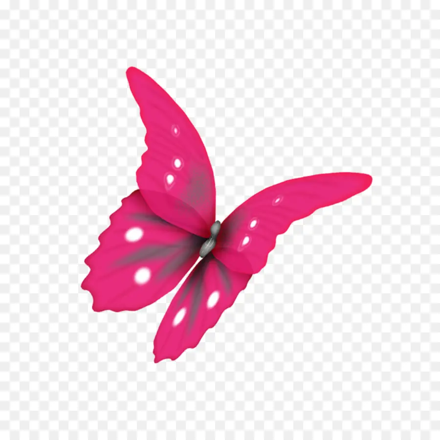 Mariposa，La Polilla PNG