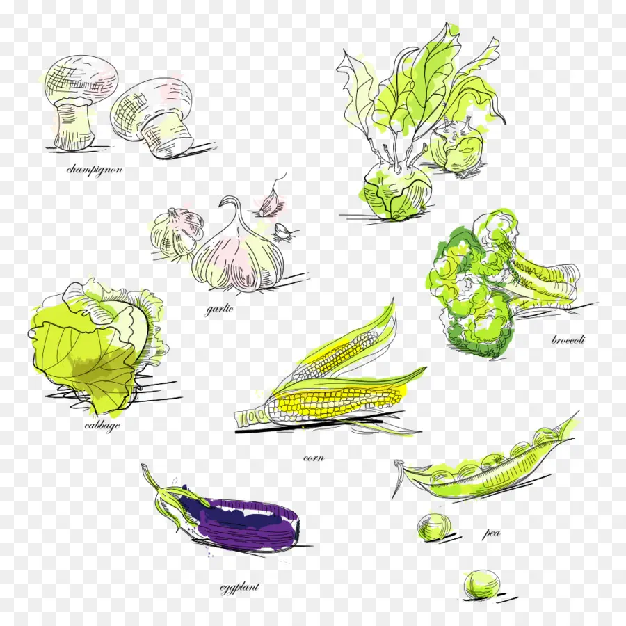 Verduras，Producir PNG