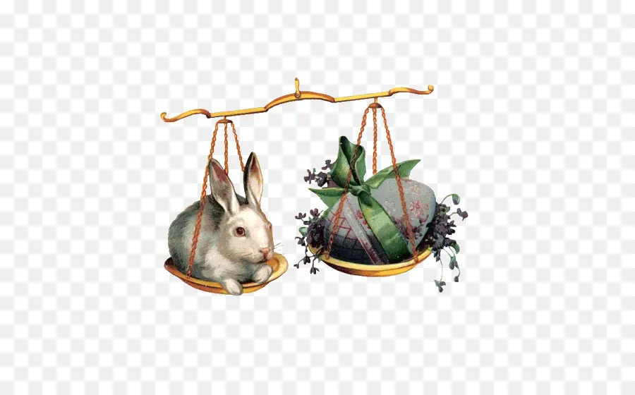 Conejo Y Regalo，Balance PNG