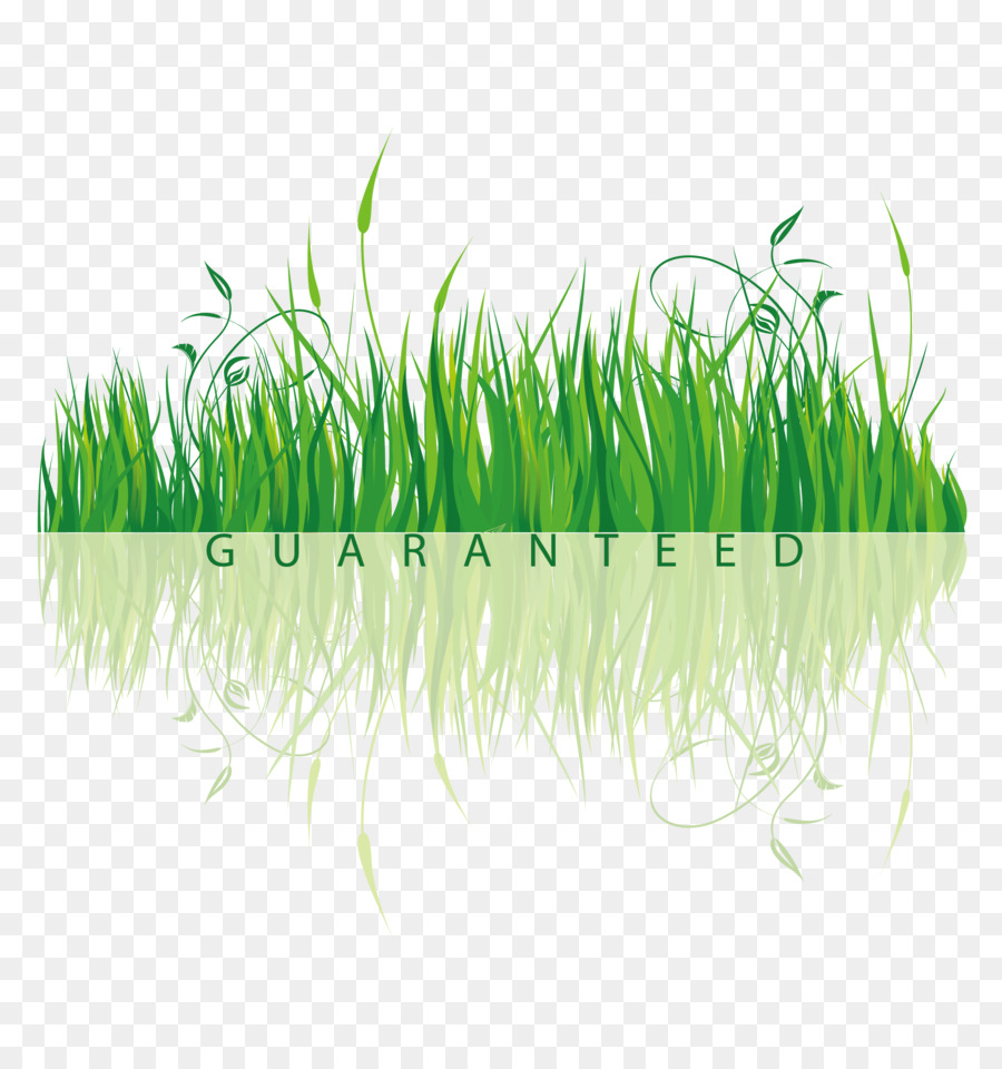 Shutterstock，Grass Gis PNG