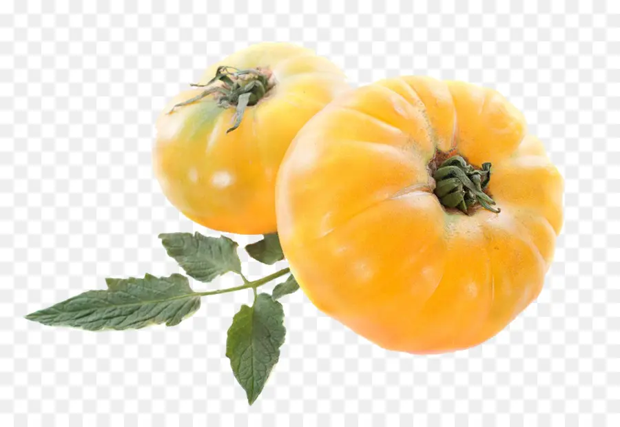 Tomates Amarillos，Hojas PNG