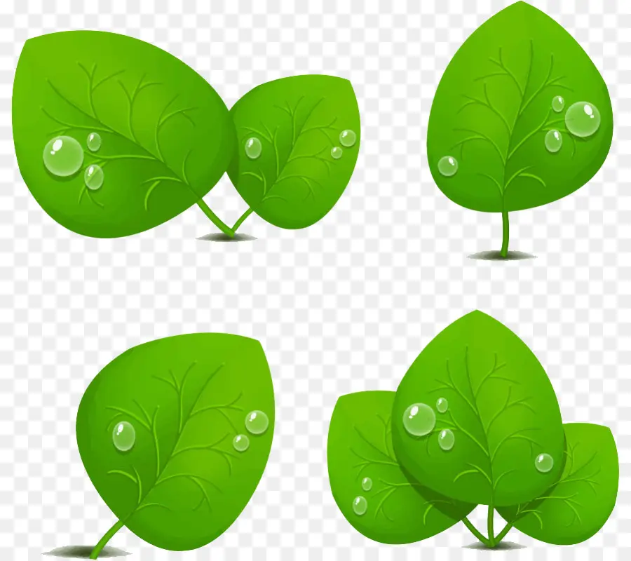 Hojas Verdes，Naturaleza PNG