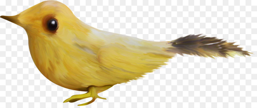 Pájaro Amarillo，Perca PNG