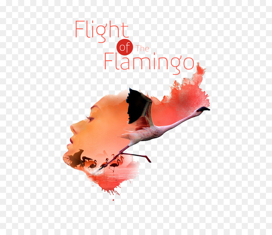 El Vuelo De Los Flamencos，Diseño Gráfico PNG