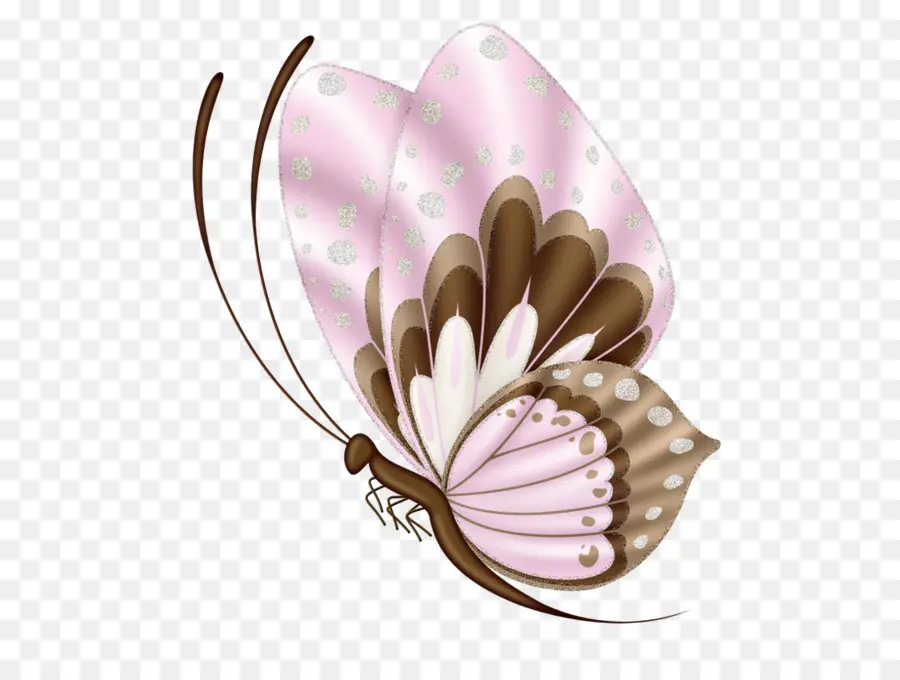 Mariposa，Rosa PNG