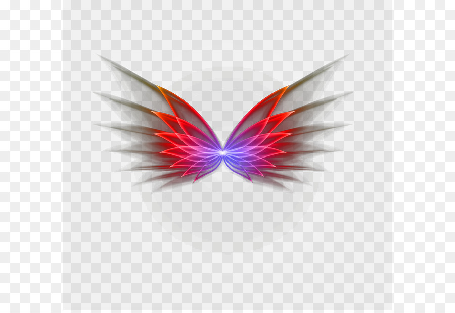 Mariposa，Primer Plano PNG