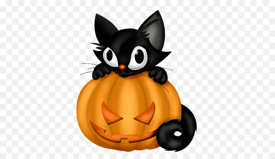 Gato，Halloween PNG