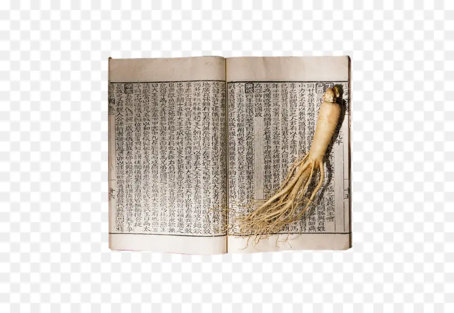 Libro Abierto，Ginseng PNG