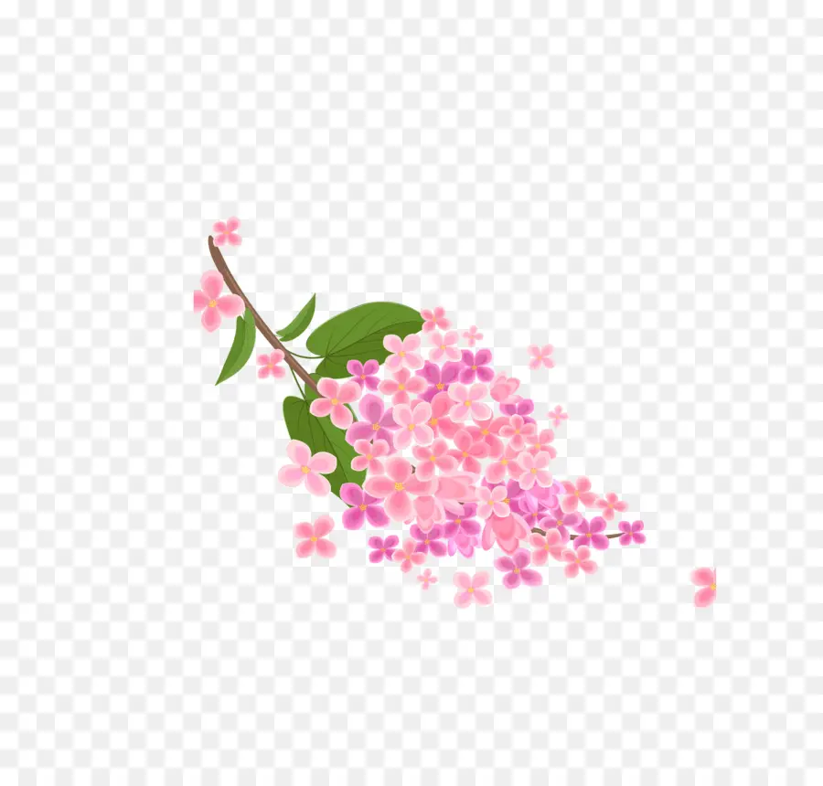 Flores Rosadas，Florecer PNG