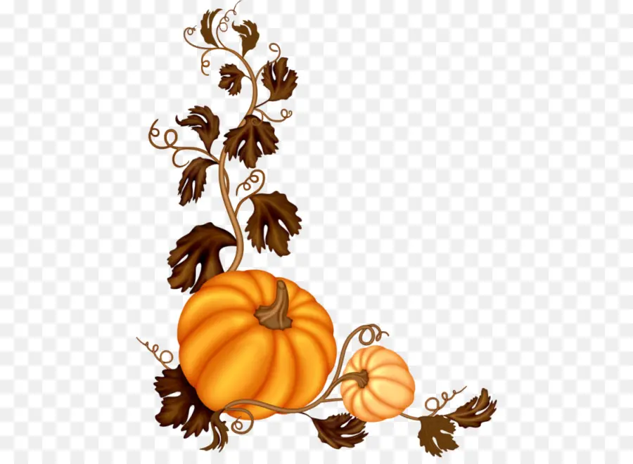 Calabaza，Software PNG