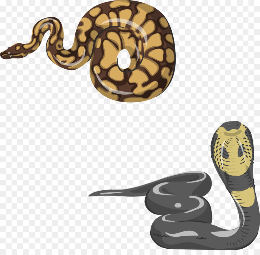 Reptiles，La Serpiente PNG