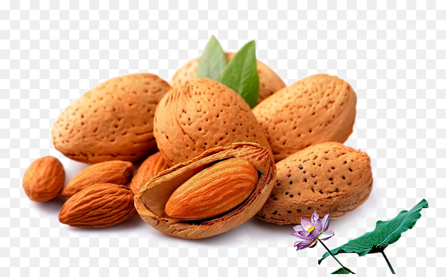 Almendras，Cojones PNG