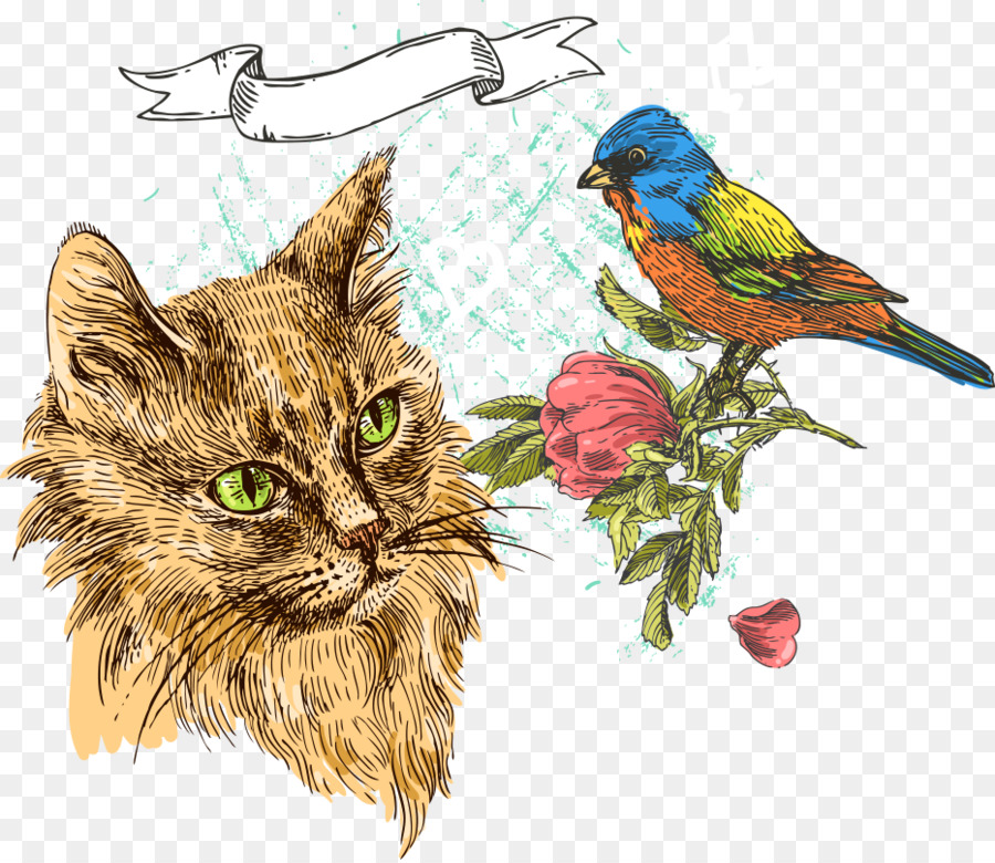 Gato Y Pájaro，Gato PNG