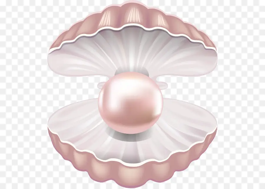 Perla，Concha PNG