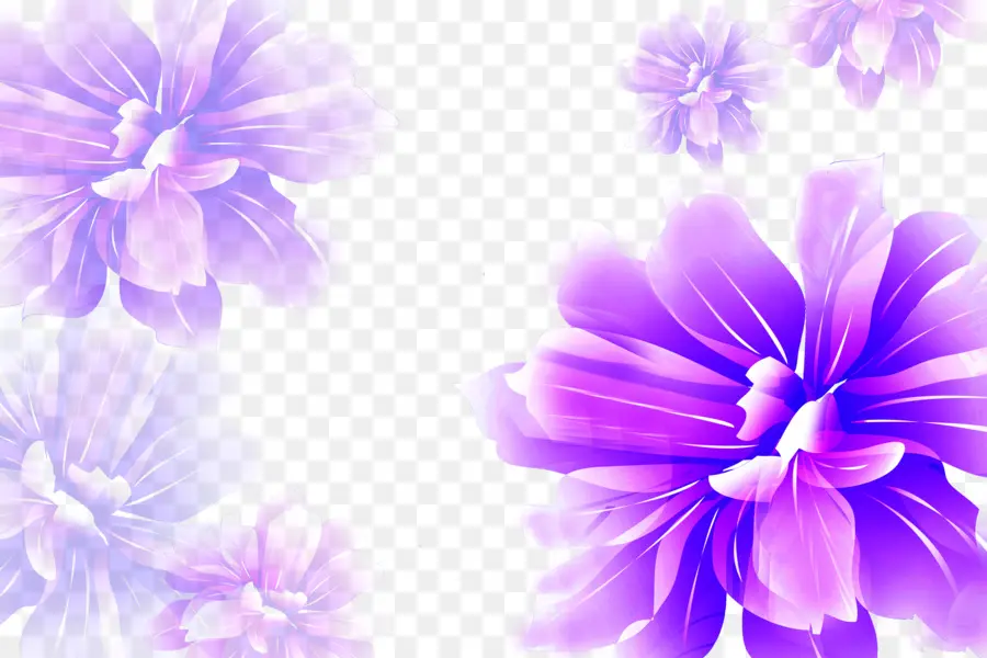 Morado，Violeta PNG