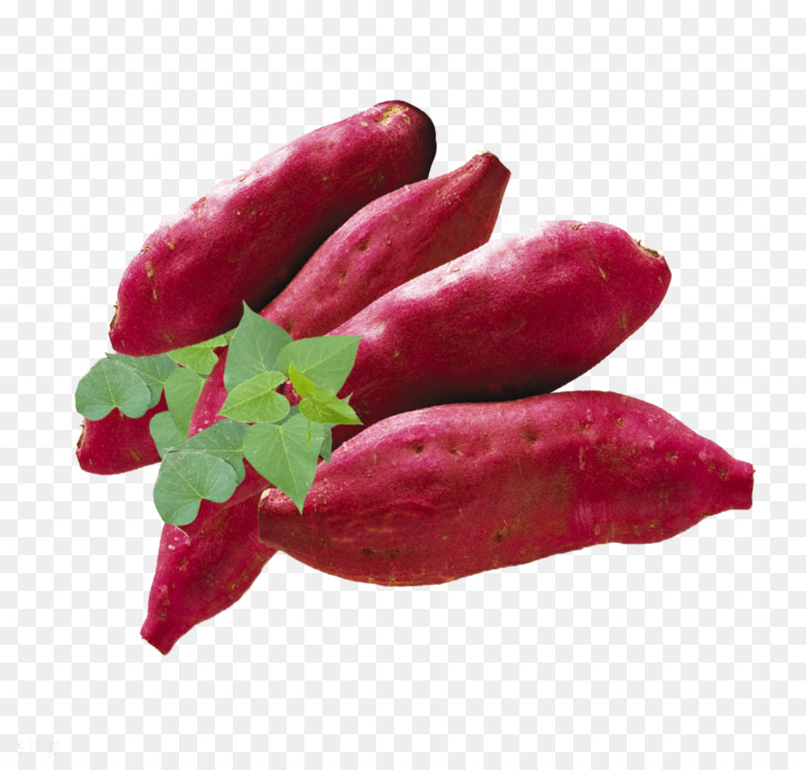 La Patata Dulce，Camote Asado PNG