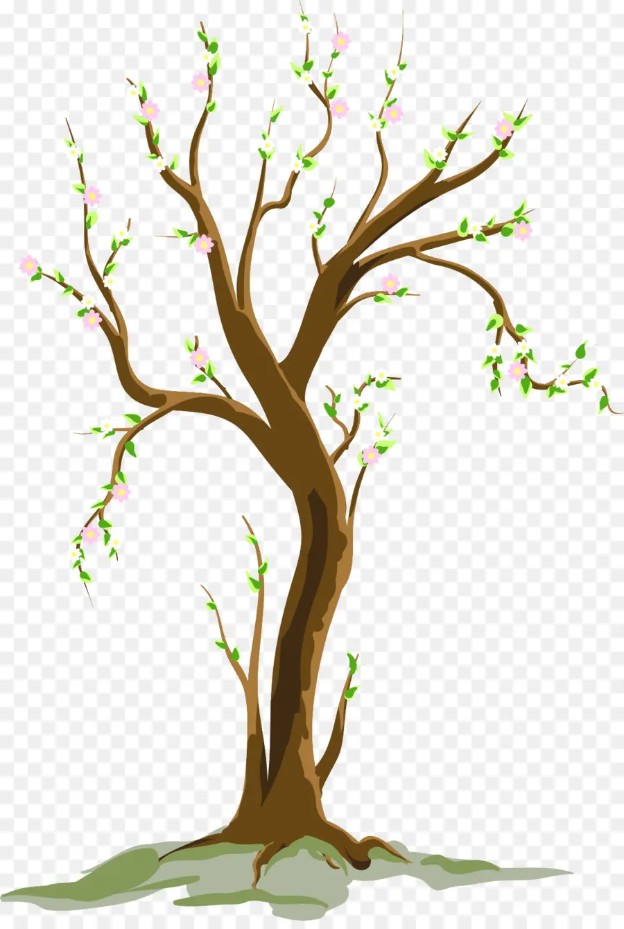 árbol，Primavera PNG