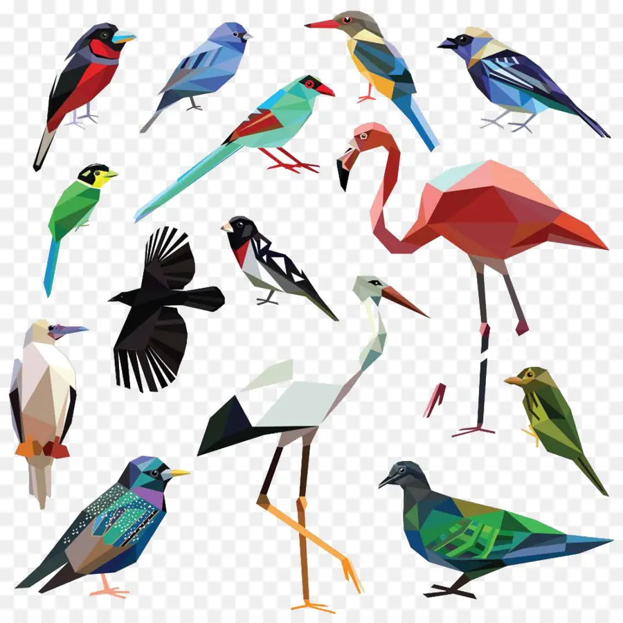 Pájaros Coloridos，Geométrico PNG