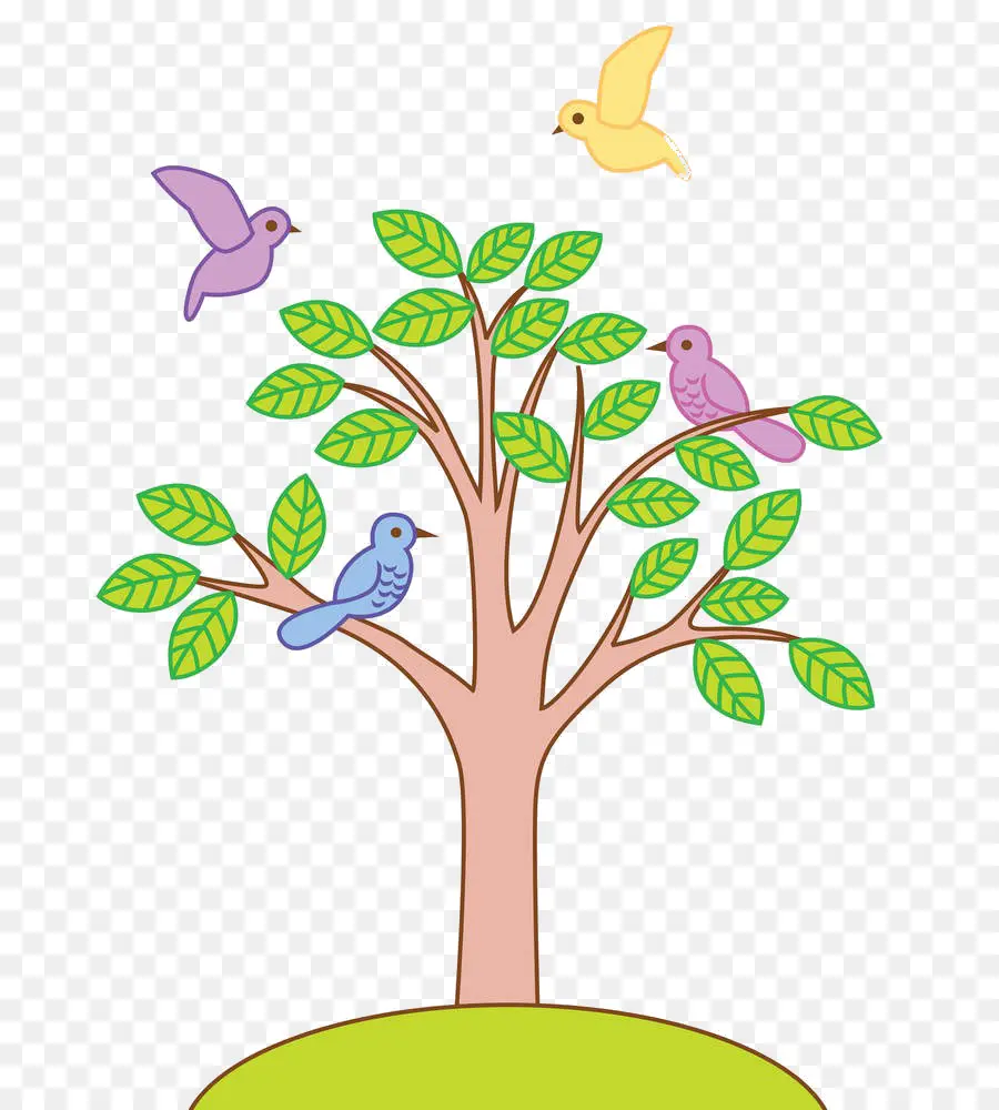 Árbol，Aves PNG