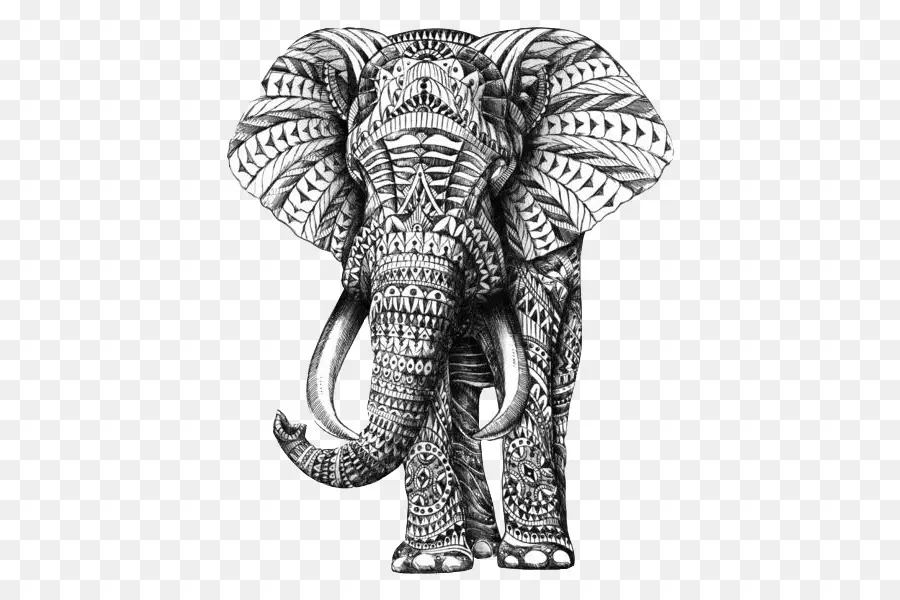 Elefante Dibujo，Animal PNG