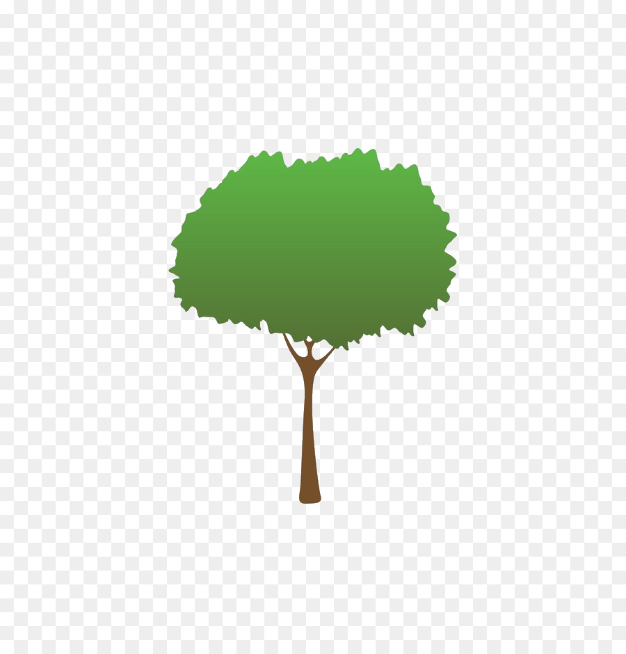 Árbol，Verde PNG