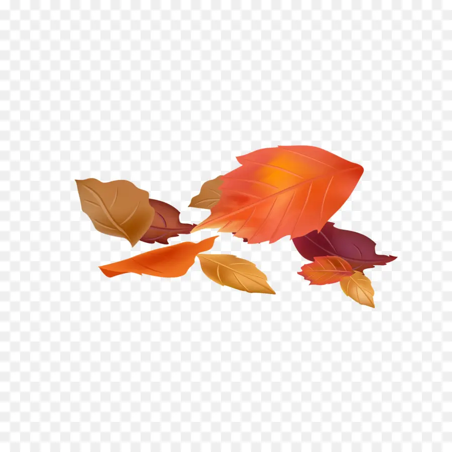 Hojas De Otoño，Caer PNG