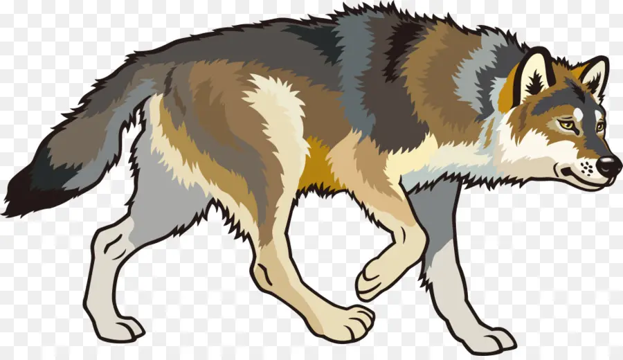 El Lobo ártico，Oriental Lobo PNG