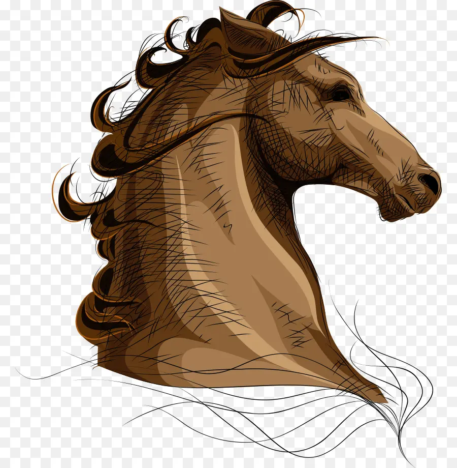 Caballo árabe，Mascota PNG