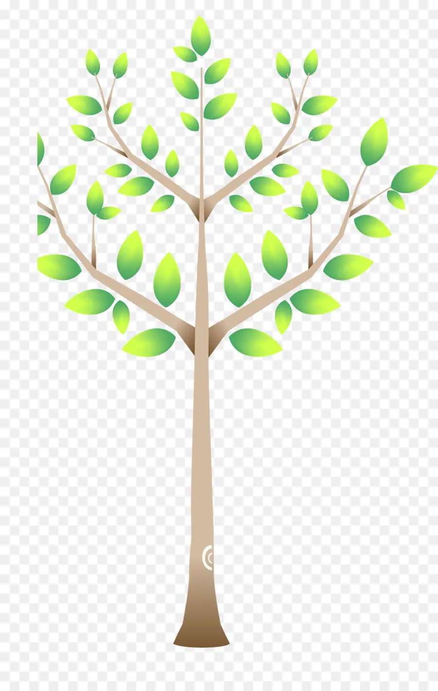 árbol Verde，Hojas PNG