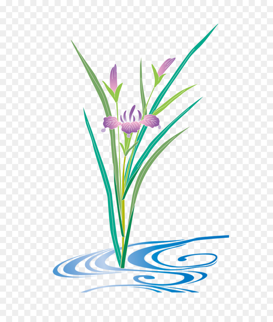 Flor Y Agua，Flor PNG