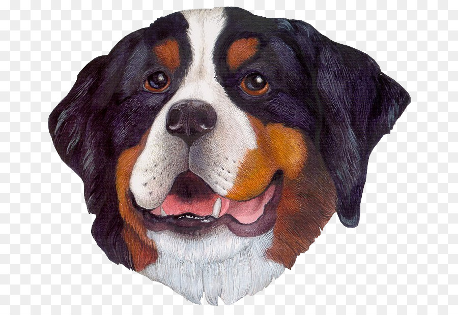 Perro，Rostro PNG