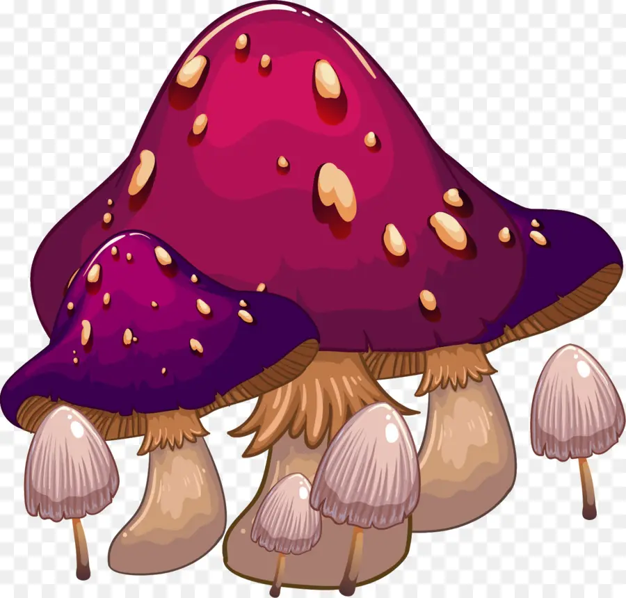 Hongos，Bosque PNG