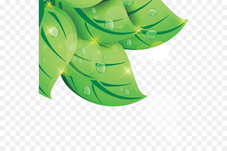 Hojas Verdes，Naturaleza PNG