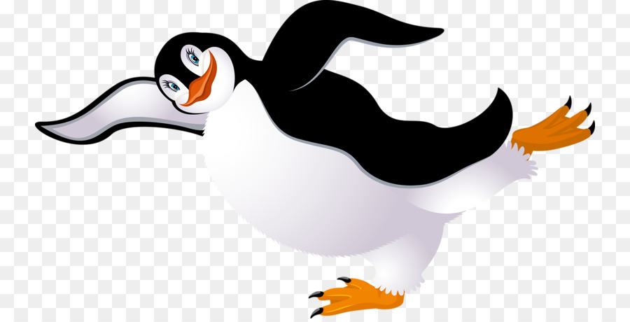 Penguin，Pájaro PNG