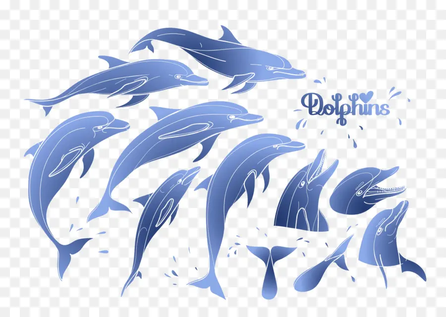 Delfines，Océano PNG