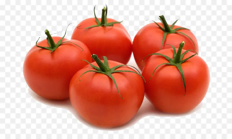 Tomate Ciruela，Bush Tomate PNG