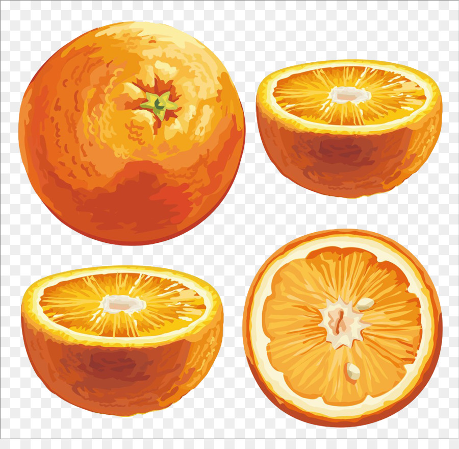 Naranja，Citrus Sinensis Xd7 PNG