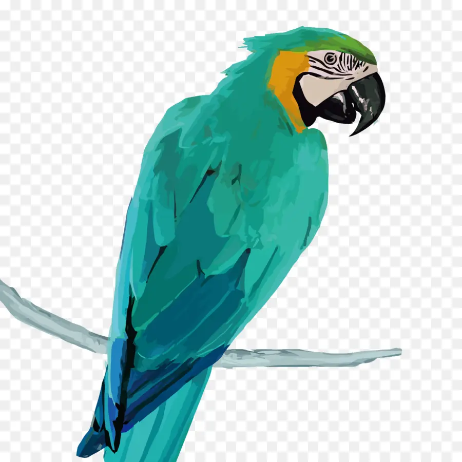 Loro，Azul PNG