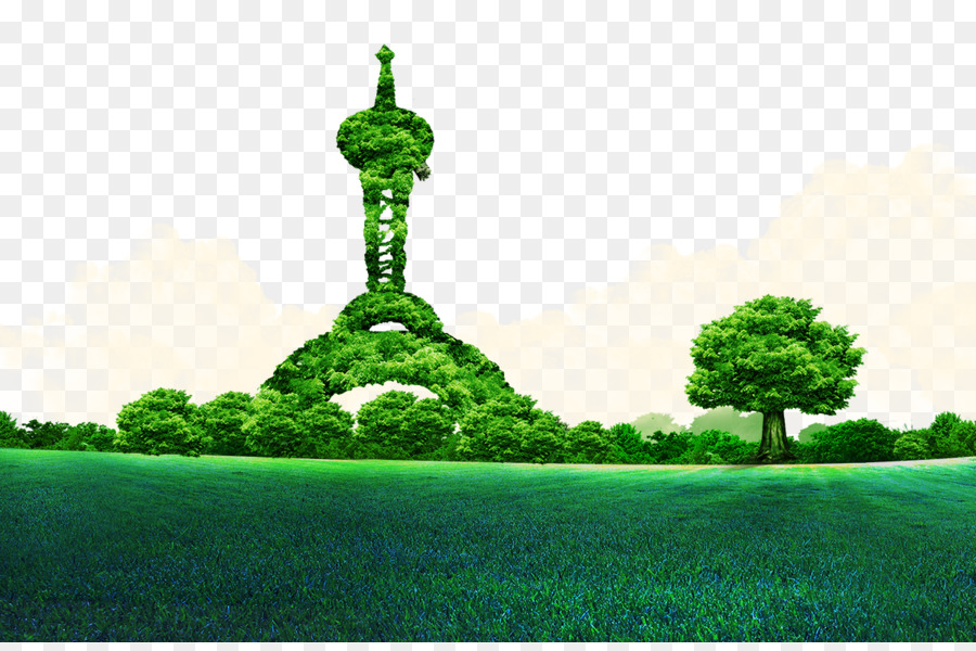 Torre Verde，Árbol PNG