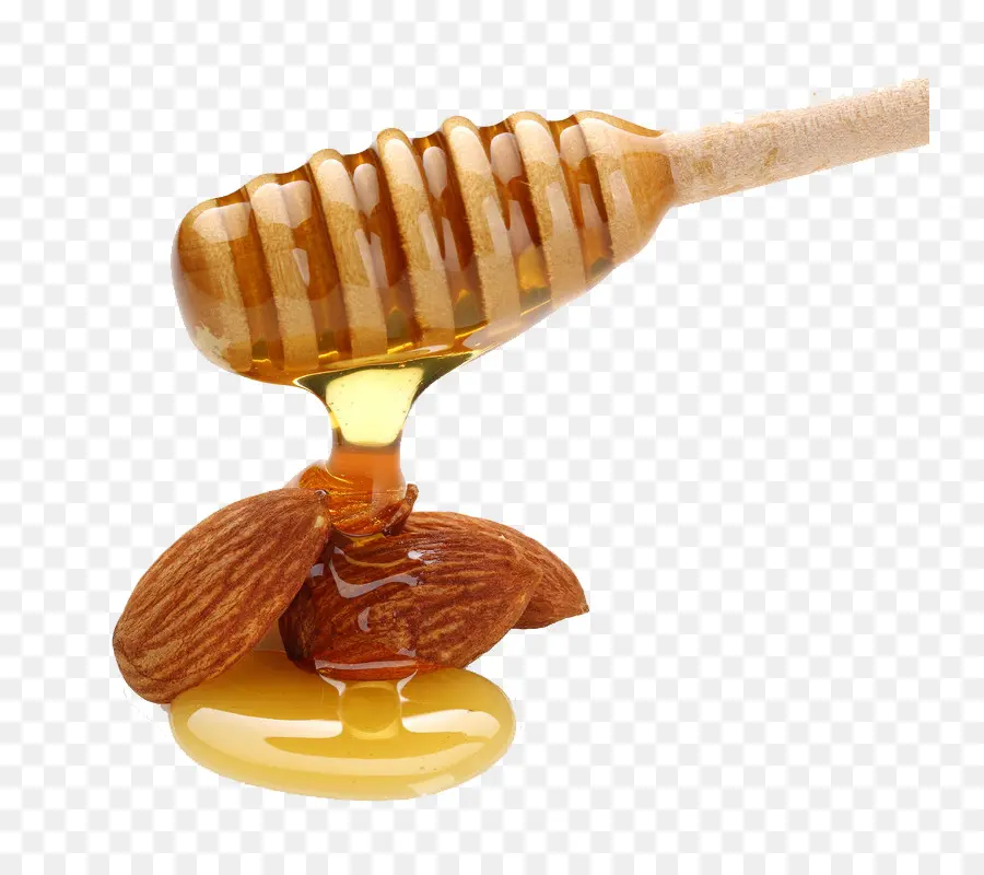 Abeja，Miel PNG