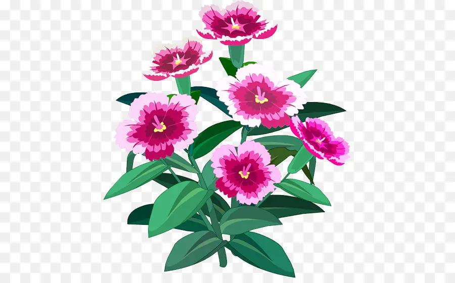 Peonía，Diseño Floral PNG